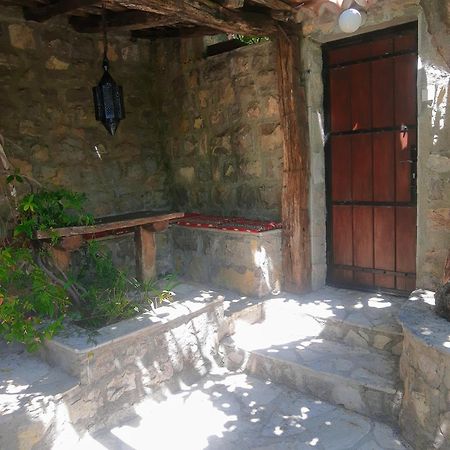 Sea-Side Old Stone Villa With A Private Garden Будва Экстерьер фото