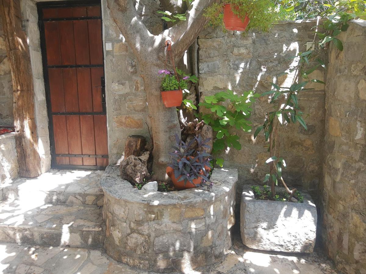 Sea-Side Old Stone Villa With A Private Garden Будва Экстерьер фото