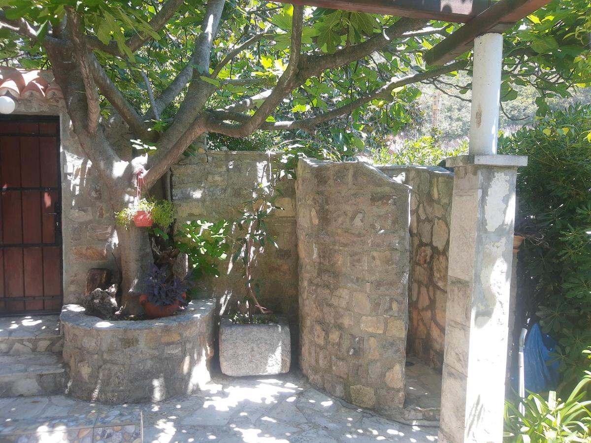 Sea-Side Old Stone Villa With A Private Garden Будва Экстерьер фото