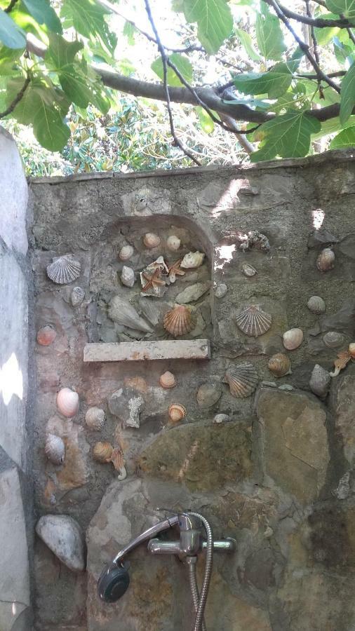 Sea-Side Old Stone Villa With A Private Garden Будва Экстерьер фото